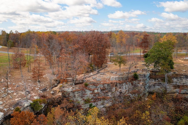 1520 Raulston Falls Rd, Jasper, TN 37347 - bird's eye view with a view of trees