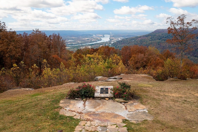 150 Raulston Falls Rd, Jasper, TN 37347 - property view of mountains with a view of trees