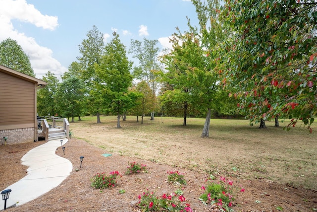 150 Raulston Falls Rd, Jasper, TN 37347 - view of yard