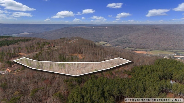700 Cherokee Path, Jasper, TN 37347
