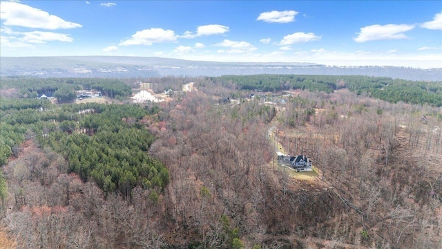 700 Cherokee Path, Jasper, TN 37347