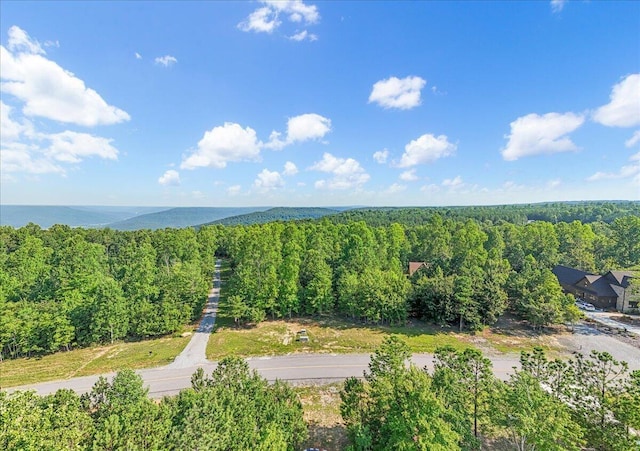700 Cherokee Path, Jasper, TN 37347 - photo 1