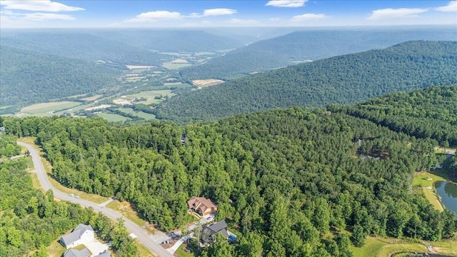700 Cherokee Path, Jasper, TN 37347 - photo 3