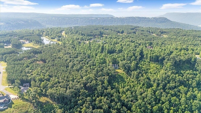 700 Cherokee Path, Jasper, TN 37347 - photo 7