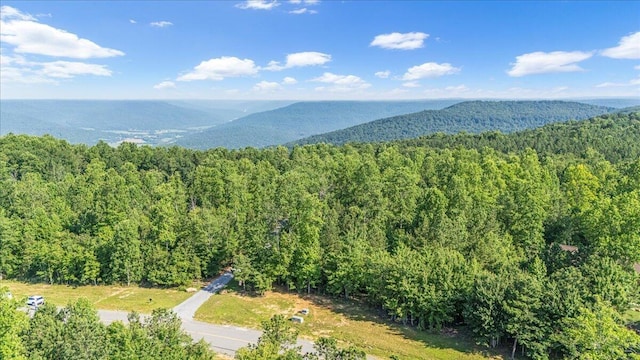 700 Cherokee Path, Jasper, TN 37347 - photo 9