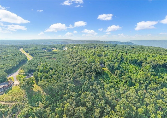 700 Cherokee Path, Jasper, TN 37347 - photo 6
