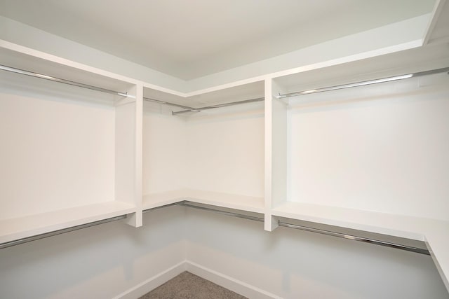 135 W Cassa Way, Mount Juliet, TN 37122 - walk in closet featuring carpet floors