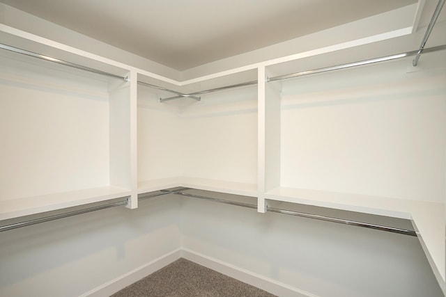 136 W Cassa Way, Mount Juliet, TN 37122 - walk in closet featuring carpet flooring