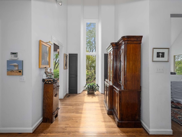 1229 Vintage Pl, Nashville, TN 37215 - foyer featuring light wood-type flooring, a towering ceiling, and baseboards