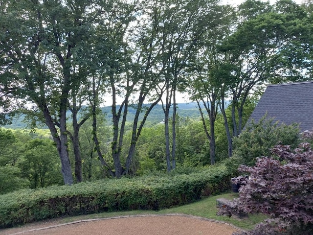 1229 Vintage Pl, Nashville, TN 37215 - view of yard