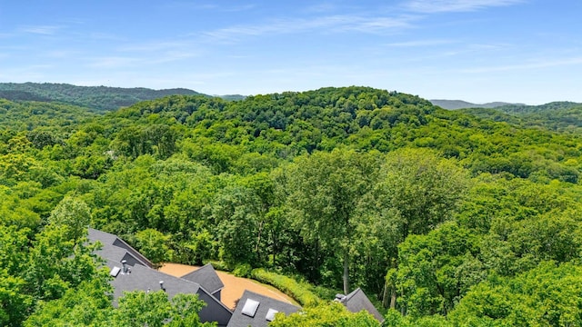 1229 Vintage Pl, Nashville, TN 37215 - view from above of property with a heavily wooded area