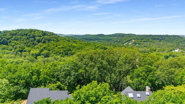 1229 Vintage Pl, Nashville, TN 37215 - view of mountain background with a forest