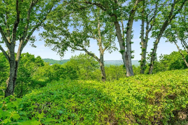 1229 Vintage Pl, Nashville, TN 37215 - view of nature