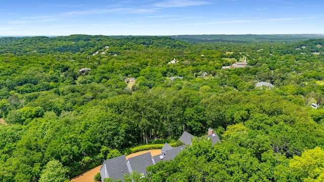 1229 Vintage Pl, Nashville, TN 37215 - aerial view of a forest