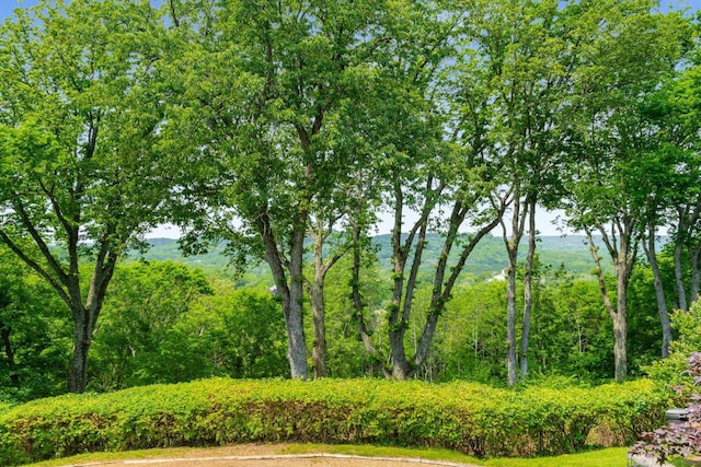 1229 Vintage Pl, Nashville, TN 37215 - view of yard