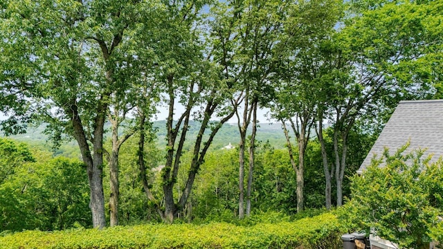1229 Vintage Pl, Nashville, TN 37215 - view of yard
