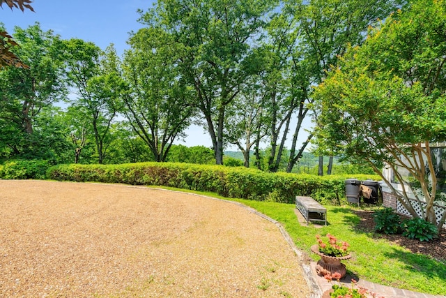 1229 Vintage Pl, Nashville, TN 37215 - view of yard