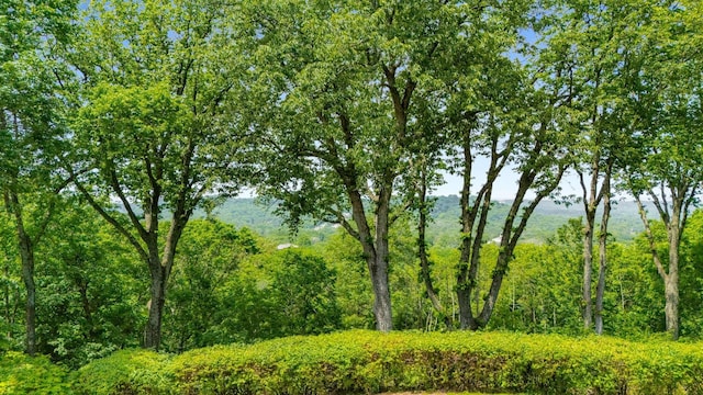 1229 Vintage Pl, Nashville, TN 37215 - view of woods