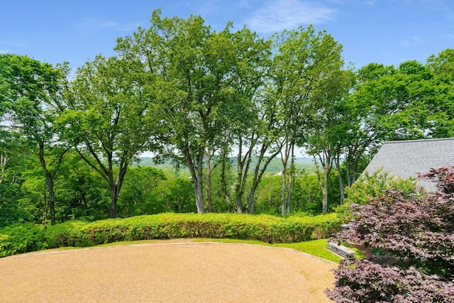 1229 Vintage Pl, Nashville, TN 37215 - view of community