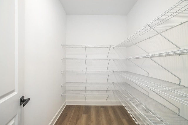 walk in closet with wood finished floors
