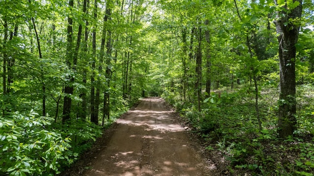 7621 Fernvale Rd, Fairview, TN 37062 - view of road with a wooded view