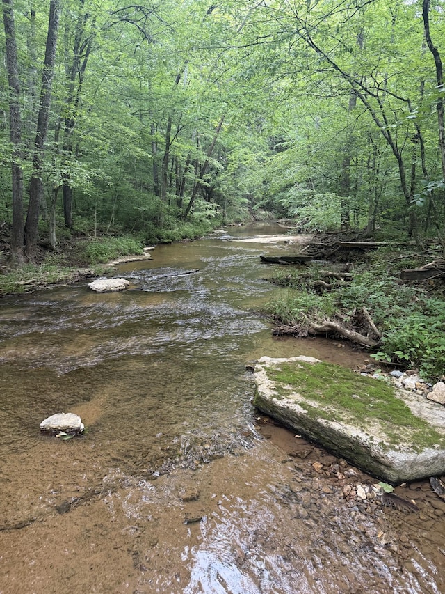 7621 Fernvale Rd, Fairview, TN 37062 - view of yard with a forest view