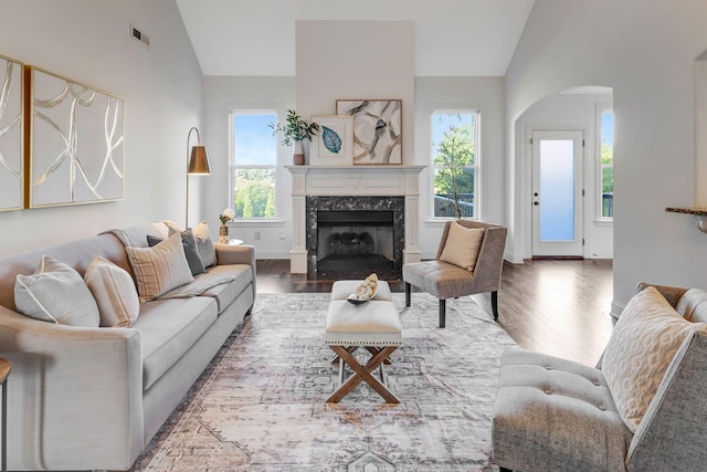 2078 Autumn Ridge Way, Spring Hill, TN 37174 - living room with lofted ceiling, wood finished floors, arched walkways, and a premium fireplace
