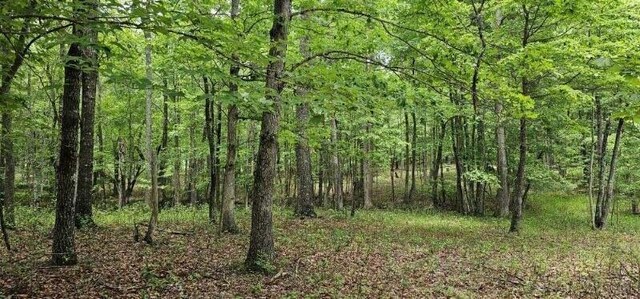 0 2 Lake Trl, Dunlap, TN 37327 - photo 4