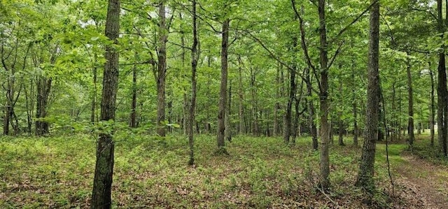 0 2 Lake Trl, Dunlap, TN 37327 - photo 8