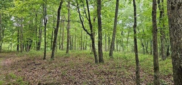 0 2 Lake Trl, Dunlap, TN 37327 - photo 10