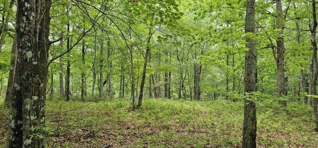 0 2 Lake Trl, Dunlap, TN 37327 - photo 7