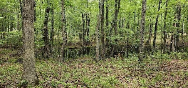 0 2 Lake Trl, Dunlap, TN 37327 - photo 11