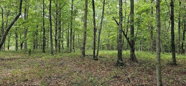0 2 Lake Trl, Dunlap, TN 37327 - photo 9