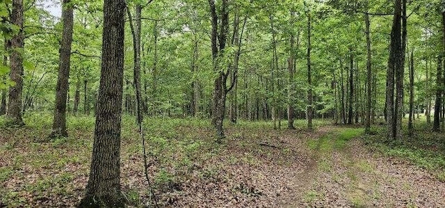 0 2 Lake Trl, Dunlap, TN 37327 - photo 12