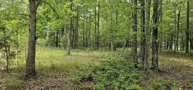 0 2 Lake Trl, Dunlap, TN 37327 - photo 1