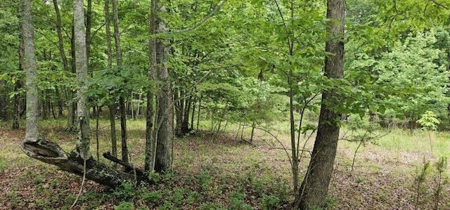 0 2 Lake Trl, Dunlap, TN 37327 - photo 5