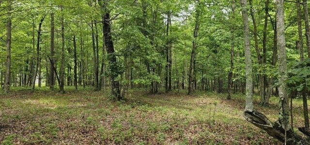 0 2 Lake Trl, Dunlap, TN 37327 - photo 6