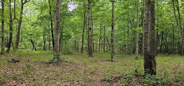 0 2 Lake Trl, Dunlap, TN 37327 - photo 2