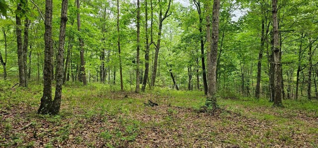 0 2 Lake Trl, Dunlap, TN 37327 - photo 3