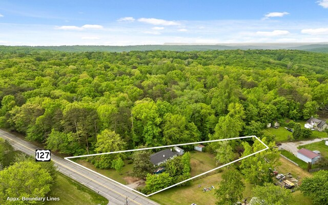 4101 Taft Hwy, Signal Mountain, TN 37377 - birds eye view of property featuring a forest view