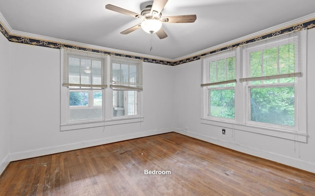 4101 Taft Hwy, Signal Mountain, TN 37377 - unfurnished room featuring a wealth of natural light, baseboards, and ornamental molding