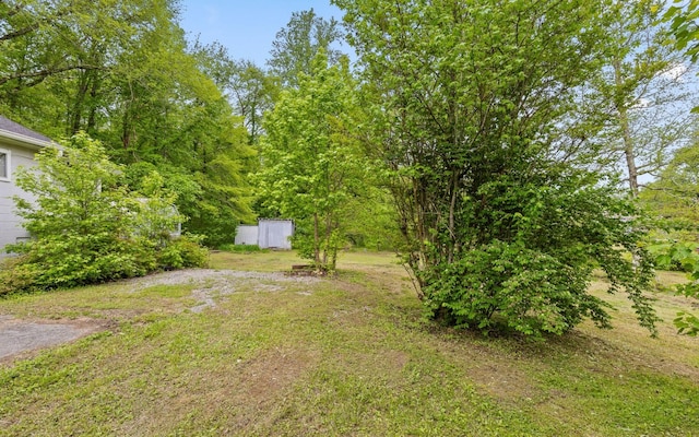 4101 Taft Hwy, Signal Mountain, TN 37377 - view of yard