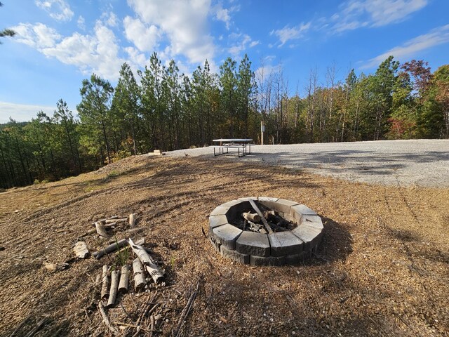 5752 Old Hohenwald Rd, Linden, TN 37096