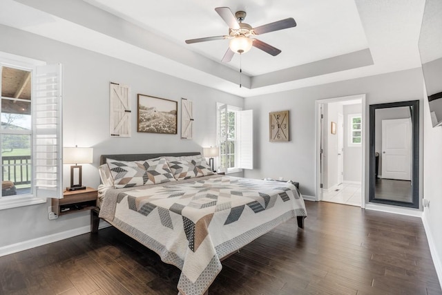 bedroom featuring a tray ceiling, multiple windows, wood finished floors, and baseboards