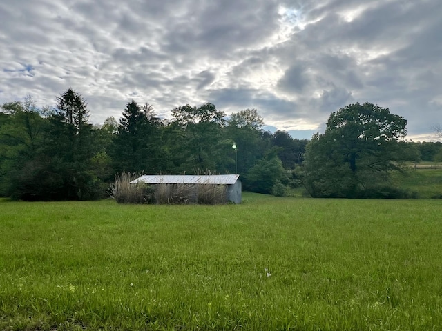 view of yard featuring a rural view and a forest view