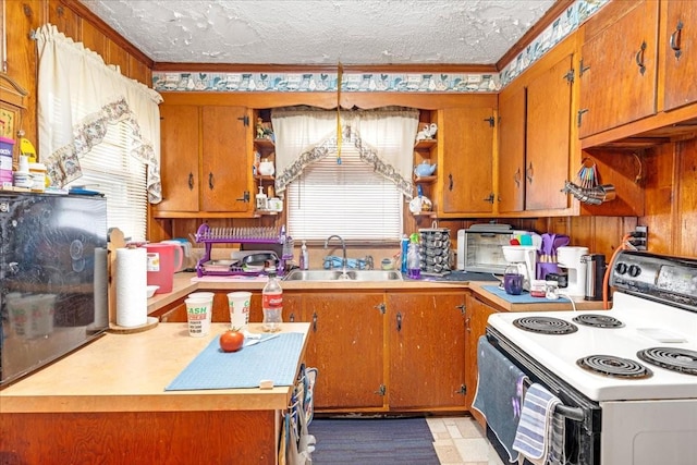 kitchen featuring white electric range oven, a healthy amount of sunlight, crown molding, and a sink