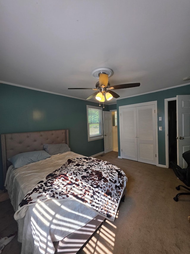 407 Sugar Tree Dr, Clarksville, TN 37043 - photo 12