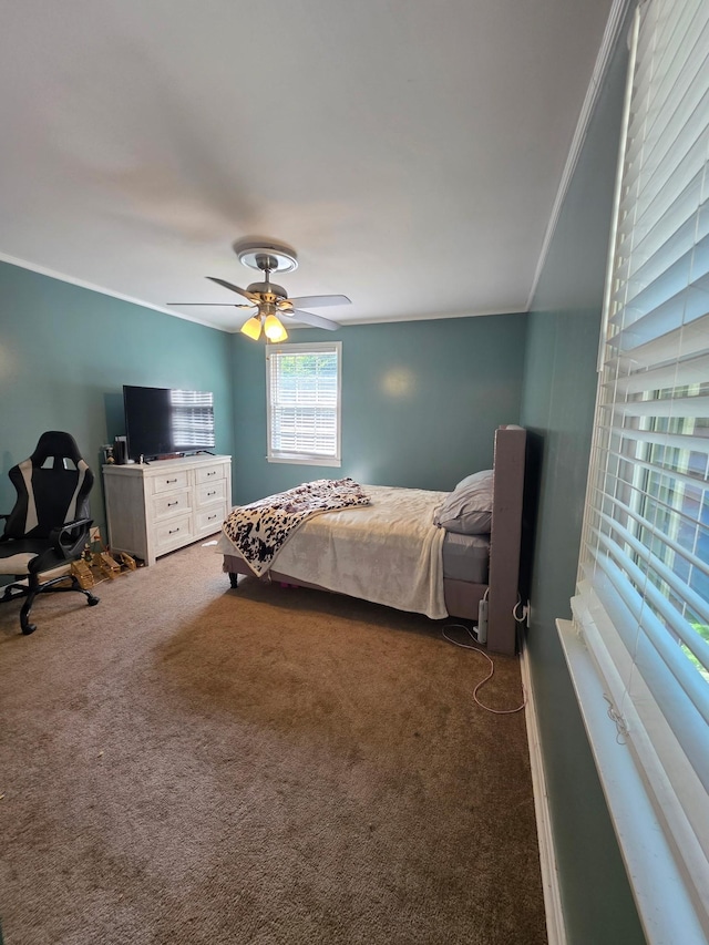 407 Sugar Tree Dr, Clarksville, TN 37043 - photo 11