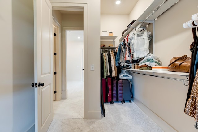 spacious closet featuring carpet floors