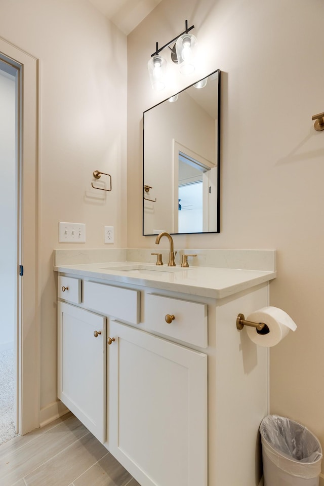 bathroom with vanity and wood finished floors